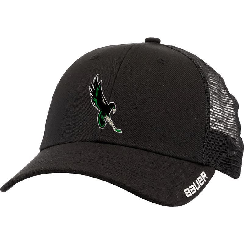 Wilmington Nighthawks Bauer Youth Team Mesh Snapback