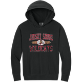 Jersey Shore Wildcats Youth Lightweight Hooded Sweatshirt