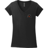 Biggby Bandits Softstyle Ladies Fit V-Neck T-Shirt