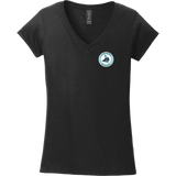 Lab Vikings Softstyle Ladies Fit V-Neck T-Shirt