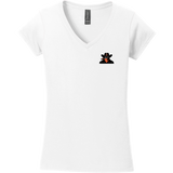 Biggby Bandits Softstyle Ladies Fit V-Neck T-Shirt