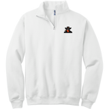 Biggby Bandits NuBlend 1/4-Zip Cadet Collar Sweatshirt