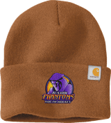 Jr. Phantoms Carhartt Watch Cap 2.0