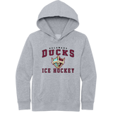 Delaware Ducks Youth V.I.T. Fleece Hoodie