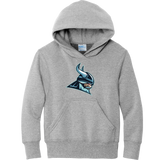 Lab Vikings Youth Core Fleece Pullover Hooded Sweatshirt