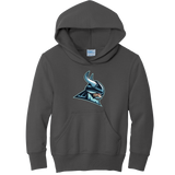 Lab Vikings Youth Core Fleece Pullover Hooded Sweatshirt