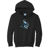 Lab Vikings Youth Core Fleece Pullover Hooded Sweatshirt
