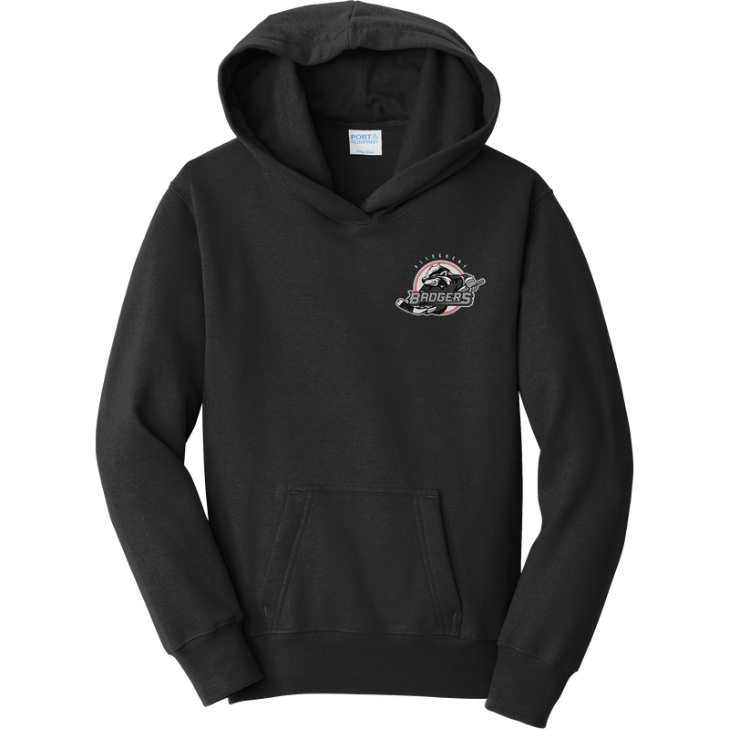 Allegheny Badgers Youth Fan Favorite Fleece Pullover Hooded Sweatshirt