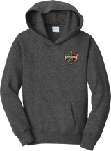 Delaware Ducks Youth Fan Favorite Fleece Pullover Hooded Sweatshirt