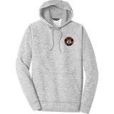Princeton Jr. Tigers Electric Heather Fleece Hooded Pullover