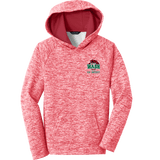 Wash U Youth PosiCharge Electric Heather Fleece Hooded Pullover