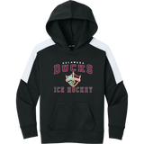 Delaware Ducks Youth Sport-Wick Fleece United Pullover Hoodie