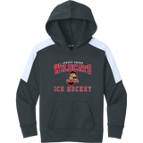 Jersey Shore Wildcats Youth Sport-Wick Fleece United Pullover Hoodie